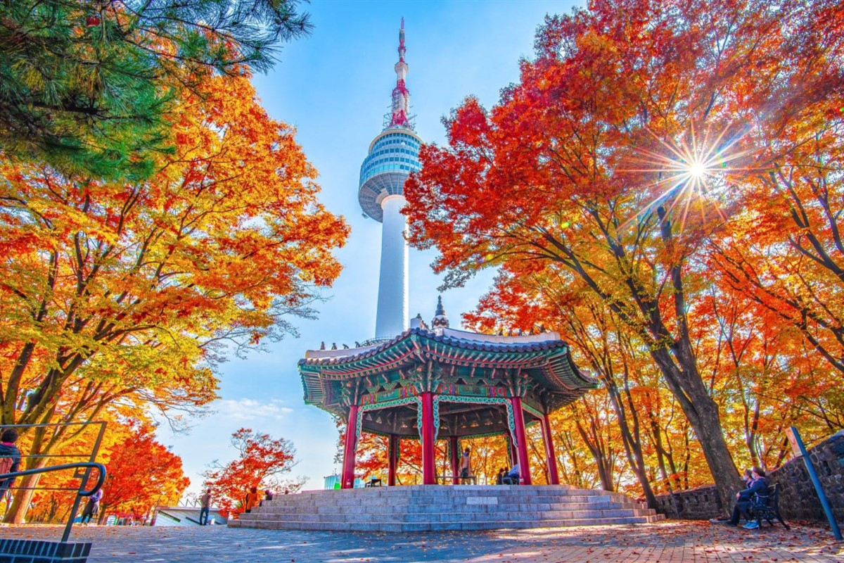 [Tết 2025] Tour Hàn Quốc: Seoul – Trượt Tuyết – Lotte World 6 Ngày 5 Đêm  – Bay Vietjet Air